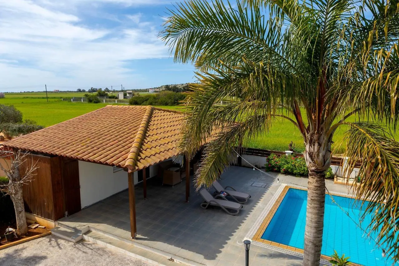 Cape Greco Palm Trees Villa Ayia Napa Cyprus